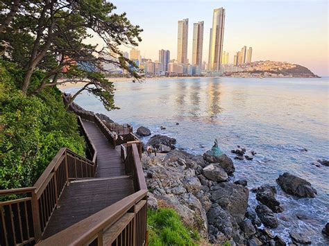  Dongbaekseom Island! A Haven of Tranquility and Scenic Beauty on Busan's Shores